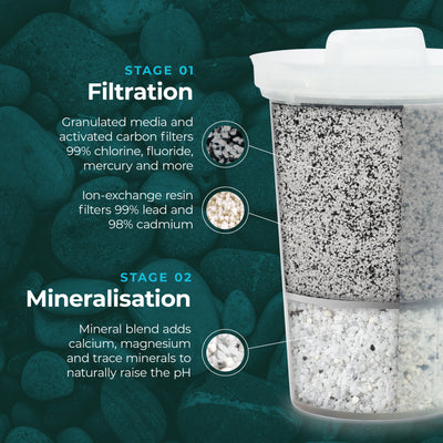 The Santevia MINA Alkaline Pitcher filter cutaway showing the granulated activated carbon and minerals within the filter