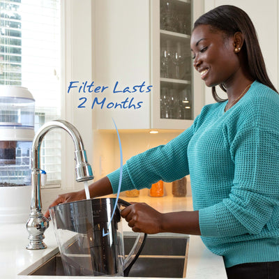 The Santevia MINA Alkaline Pitcher filters will last for 2 months#colour_black